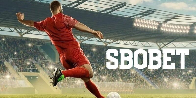 Sbobet Sports Kubet là sảnh game kết hợp giữa hai tên tuổi lớn trong làng cược