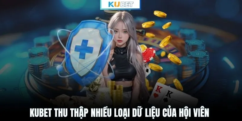 KUBET thu thập nhiều loại dữ liệu của hội viên