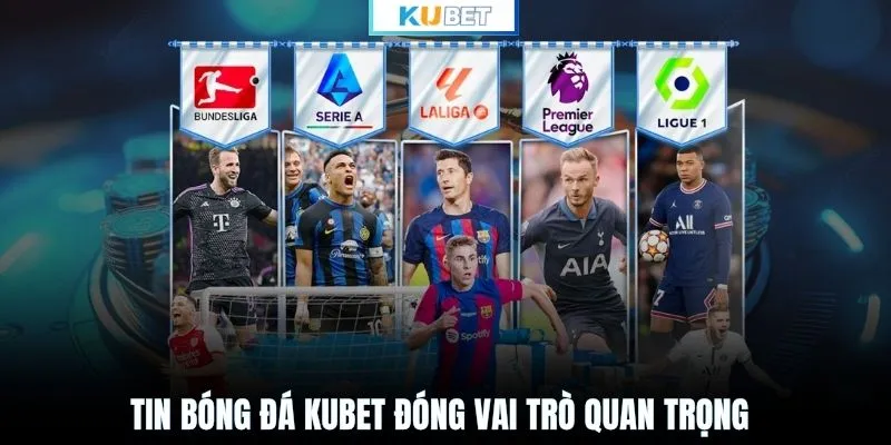 Tin bóng đá KUBET đóng vai trò quan trọng